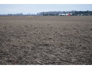 Property photo 52 - 175 Acres Offered in 5 Tracts - Tontogany, Ohio Farm Land Auction